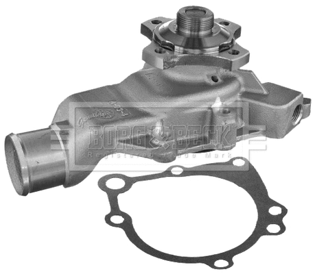 Water Pump, engine cooling (BWP2166)