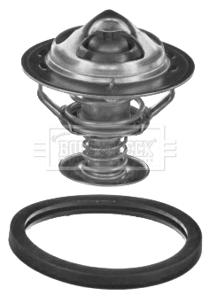 Thermostat, coolant (BBT030)
