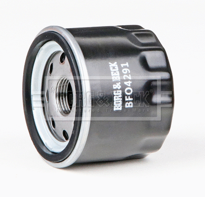 Oil Filter (BFO4291)