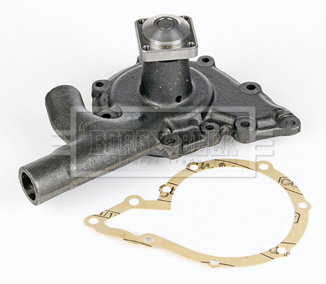 Water Pump, engine cooling (BWP1138)