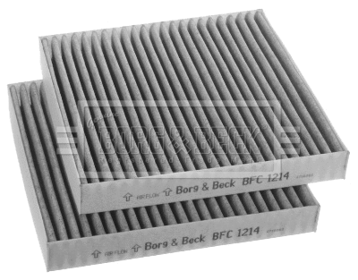 Filter, cabin air (BFC1214)