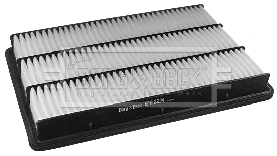 Air Filter (BFA2224)