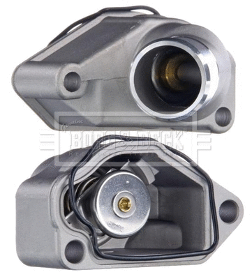 Thermostat, coolant (BBT168)