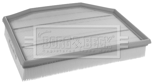 Air Filter (BFA2502)