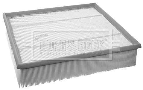Air Filter (BFA2067)