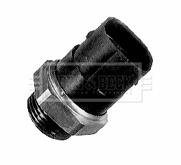 Temperature Switch, radiator fan (BTS924.92)