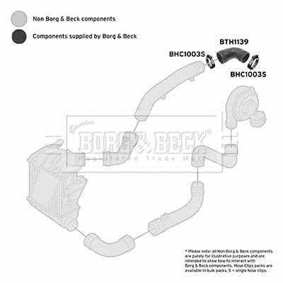 Charge Air Hose (BTH1139)