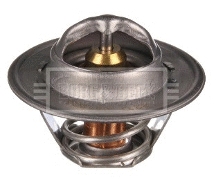 Thermostat, coolant (BTS104.82)