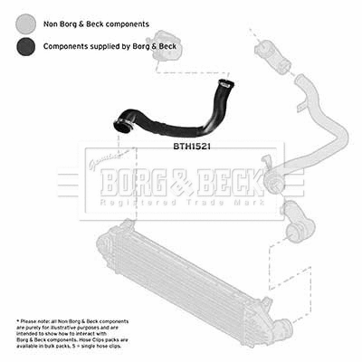 Charge Air Hose (BTH1521)