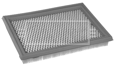 Air Filter (BFA2222)