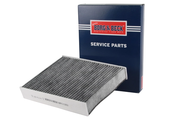 Filter, cabin air (BFC1353)