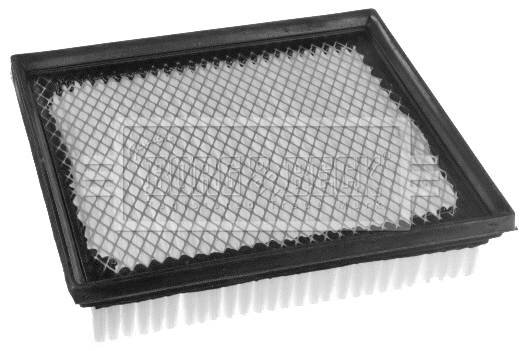 Air Filter (BFA2501)