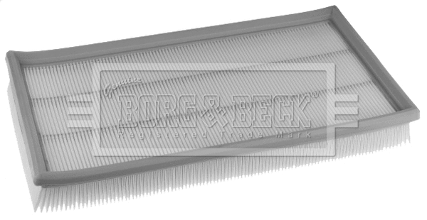 Air Filter (BFA2480)