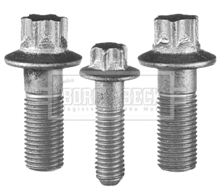 Repair kit, supporting/ball joint (BSK7900)