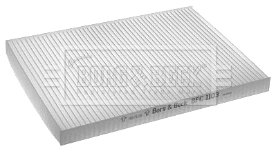 Filter, cabin air (BFC1103)