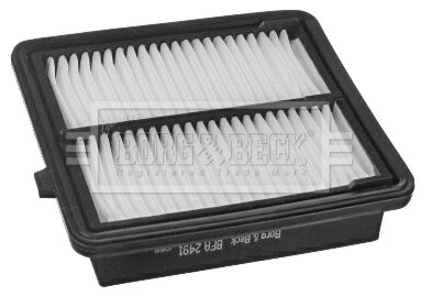 Air Filter (BFA2491)