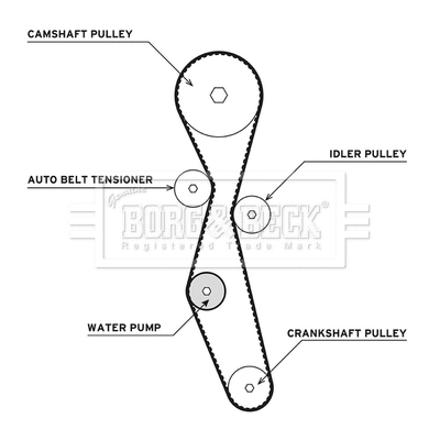 Water Pump & Timing Belt Kit (BTW1013)
