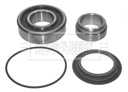 Wheel Bearing Kit (BWK318)