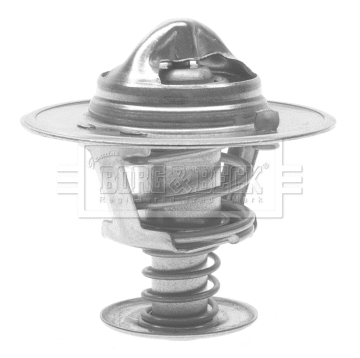 Thermostat, coolant (BTS216.82)