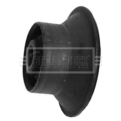Bushing, axle bracket (BSM2021)