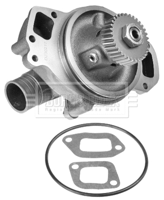 Water Pump, engine cooling (BWP32738)