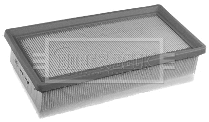 Air Filter (BFA2361)