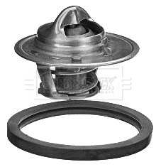 Thermostat, coolant (BBT348)