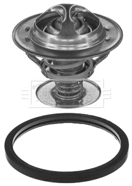 Thermostat, coolant (BBT189)