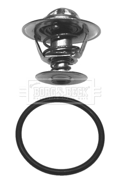 Thermostat, coolant (BBT012)