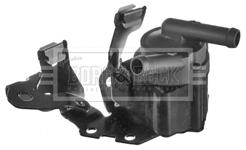 Auxiliary Water Pump (cooling water circuit) (BWP3038)