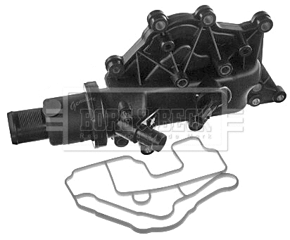 Thermostat, coolant (BBT301)
