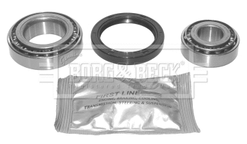 Wheel Bearing Kit (BWK355)