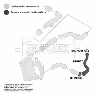 Charge Air Hose (BTH1137)
