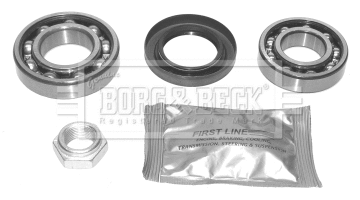 Wheel Bearing Kit (BWK439)