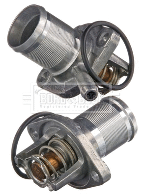 Thermostat, coolant (BBT170)