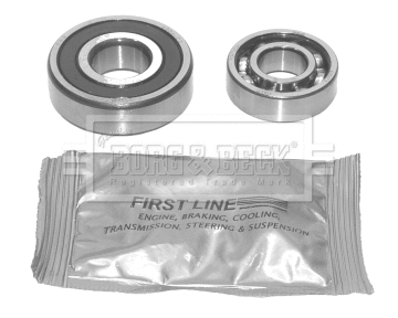 Wheel Bearing Kit (BWK430)