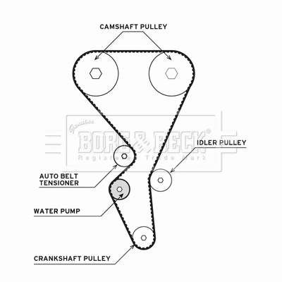 Water Pump & Timing Belt Kit (BTW1017)