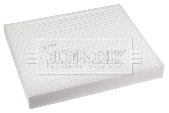 Filter, cabin air (BFC1311)