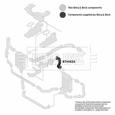 Charge Air Hose (BTH1624)