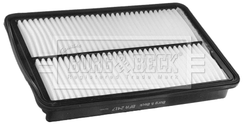 Air Filter (BFA2417)