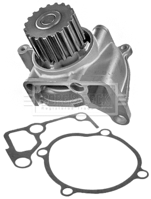 Water Pump, engine cooling (BWP2304)