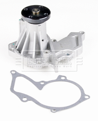 Water Pump, engine cooling (BWP1713)