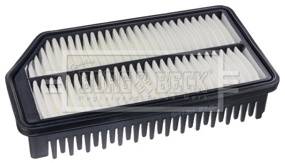Air Filter (BFA2575)