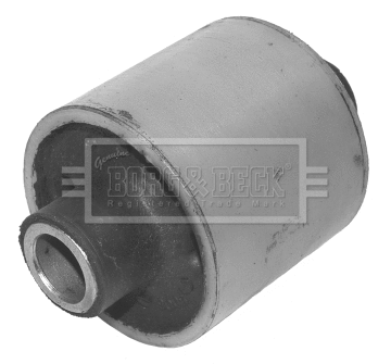 Mounting, control/trailing arm (BSK6572)
