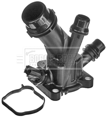 Thermostat, coolant (BBT427)
