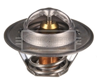 Thermostat, coolant (BTS104.92)