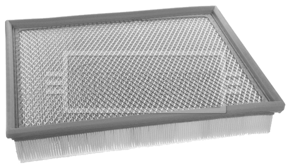 Air Filter (BFA2489)