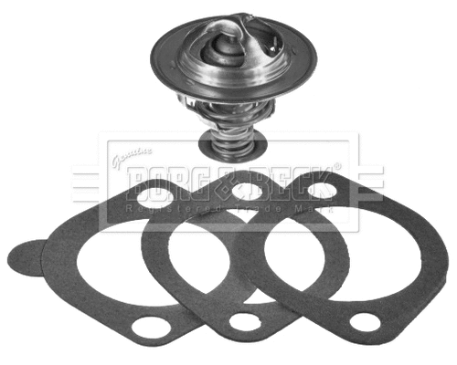 Thermostat, coolant (BBT251)
