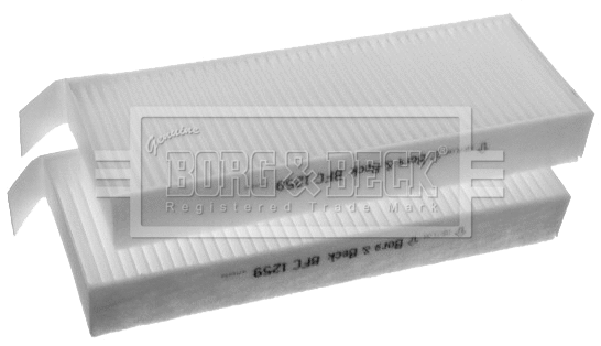 Filter, cabin air (BFC1259)