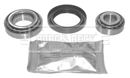 Wheel Bearing Kit (BWK367)